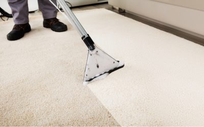 Here Are 2 Myths About Carpet Cleaning Completely Debunked